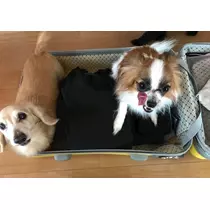ティナ