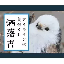 ひな