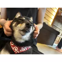 ふゆか