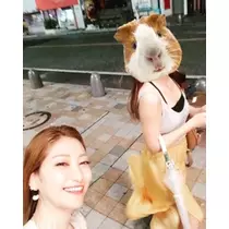 ゆかり