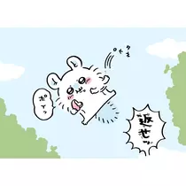 すず