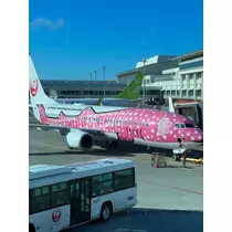 姫花