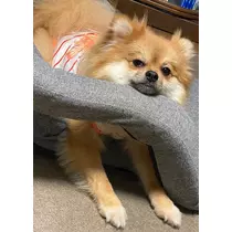 なお