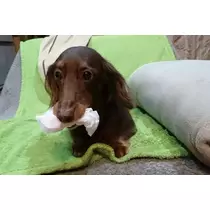 あきな