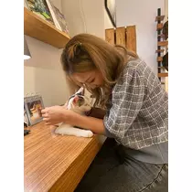 七星 舞冬