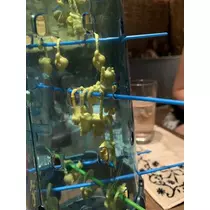 あやの