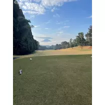山田 華蓮