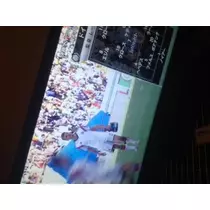蓮見 リア