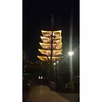 愛矢