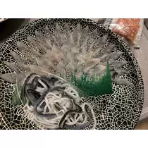 美月