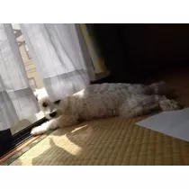 ゆま(20)
