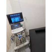 紫音