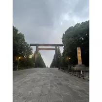 せいな
