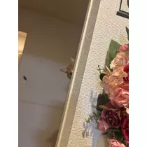 ゆり