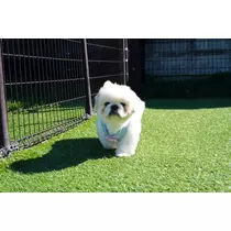 涼風 あき