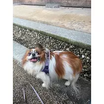 あいら