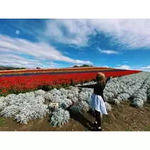 荒木 ナツミ