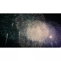 紗貴