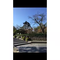 夏樹 あや