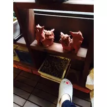 ゆかり