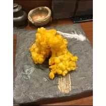 空条 しいな