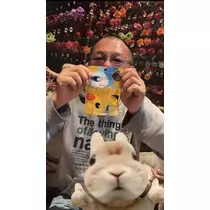七星 夏純