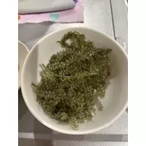 神永 莉聖