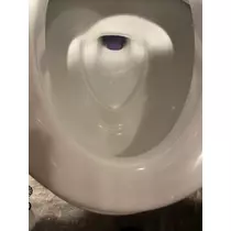 椿 凜音
