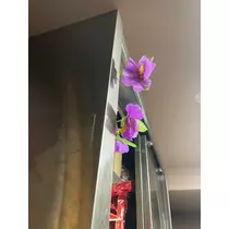 りん