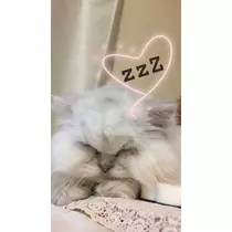 七海 結愛