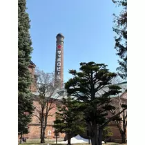 香川 ゆい