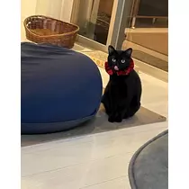 こう
