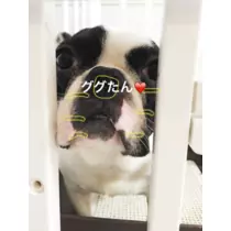 妃 えりか