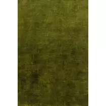 緑 四葉
