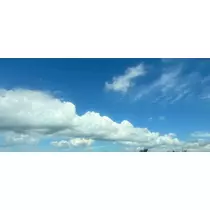 なつき