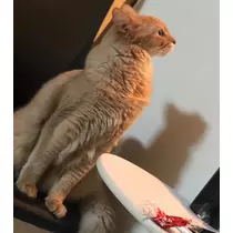 華