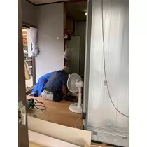 椿