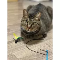 結城 かなの