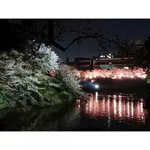 じゅん