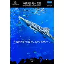 七星 夏純