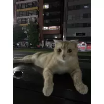 七瀬 ゆず
