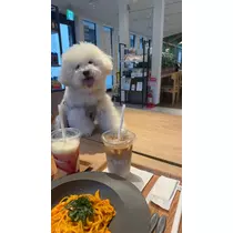 ミナミ