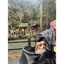 あいら