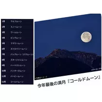 美穂