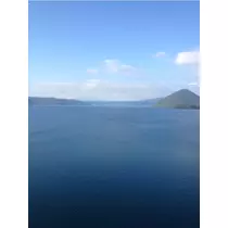 蓮見 リア