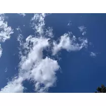 あおい