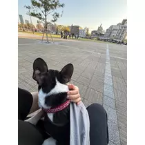ゆあ