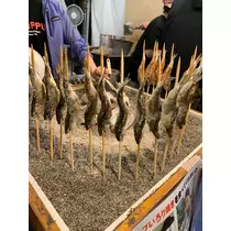 咲良 水月