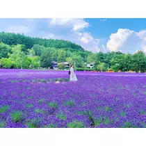 りか