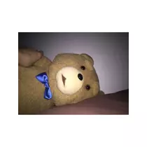 蓮見 リア